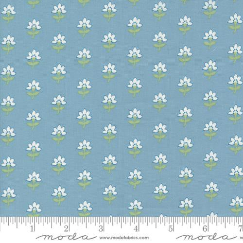 Shoreline - Coastal Florals Light Blue - Camille Roskelley