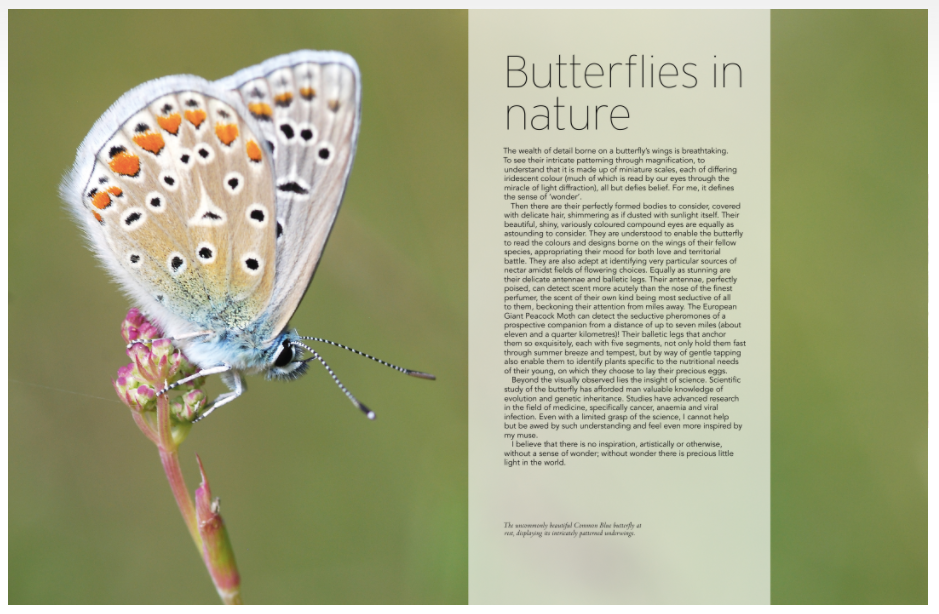 The Art of Embroidered Butterflies Book by Jane E. Hall_sample2