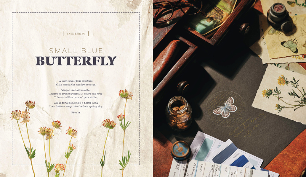 Life in Seasons Book by Nicola Jarvis