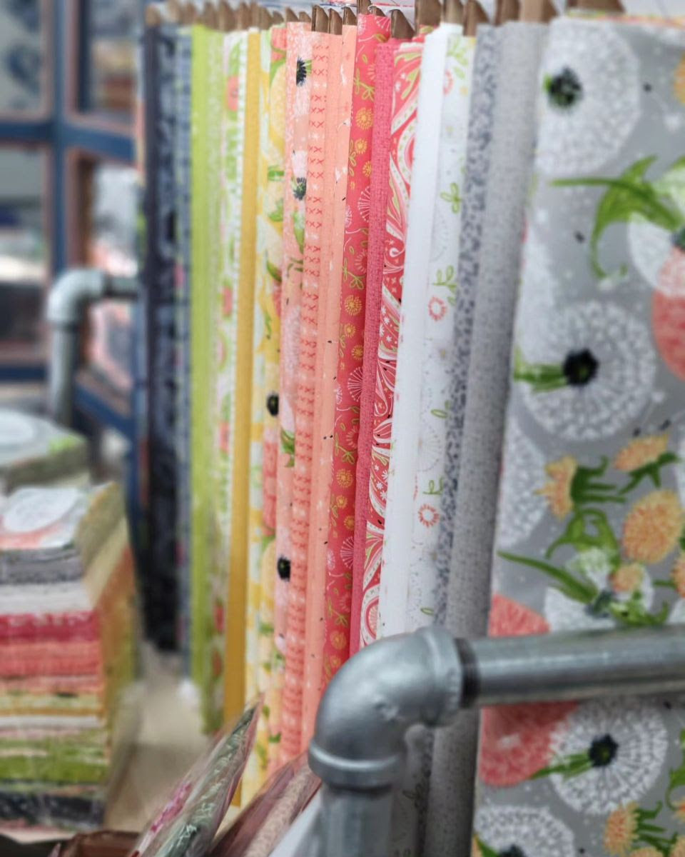 Dandi Duo Fabric by Robin Pickens for Moda Fabrics