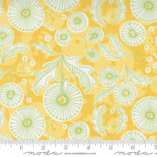 Dandi Duo - Dandi Toile Maize - Moda