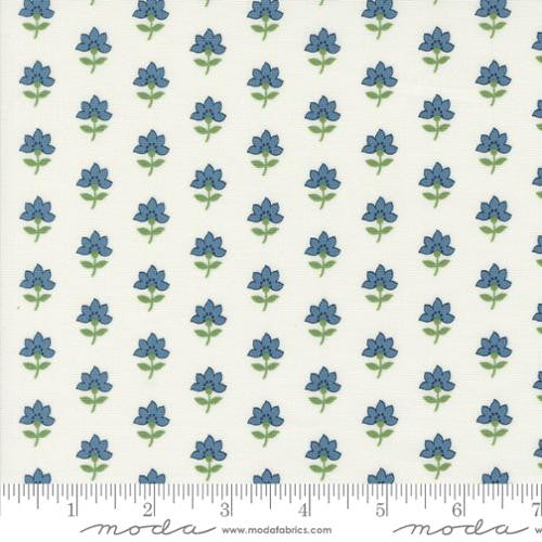 Shoreline - Coastal Florals Cream Multi - Camille Roskelley
