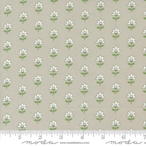Shoreline - Coastal Florals Grey - Camille Roskelley