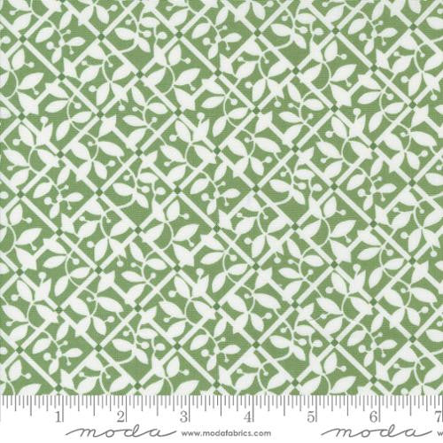 Shoreline - Lattice Checks Green - Camille Roskelley