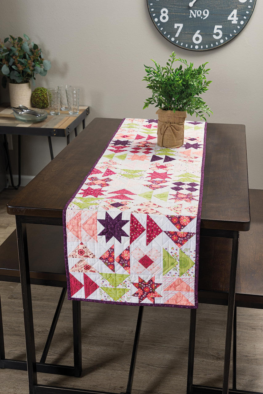 Barn Star Sampler Book by Shelley Cavanna_sample5