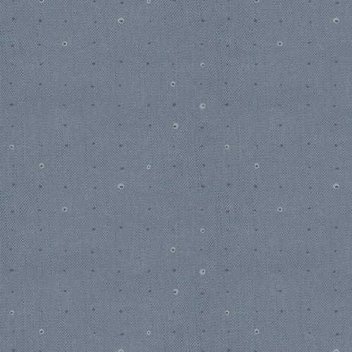 Seedling - Seeds Sky - AGF