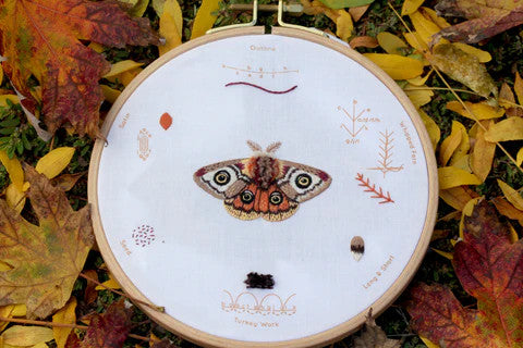 Moth - Embroidery Stitch Sampler by Kiriki Press_sample