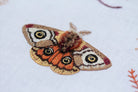 Moth - Embroidery Stitch Sampler by Kiriki Press_detail