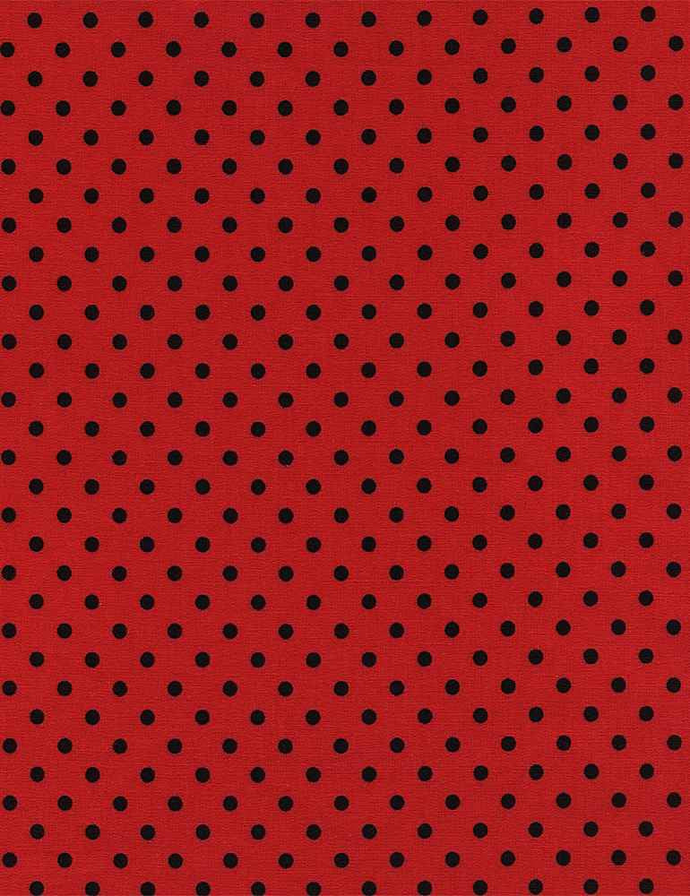 Dotty in Ladybug