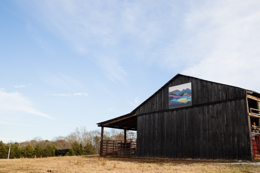 Quiltfolk Issue 14 - South Carolina_sample6